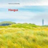 Havgus