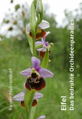 Eifel - Das bedrohte Orchideenparadies