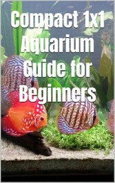 Compact 1x1 Aquarium Guide for Beginners