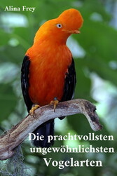 Die prachvollsten ungewöhnlichsten Vogelarten