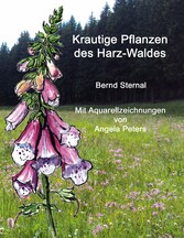 Krautige Pflanzen des Harz-Waldes