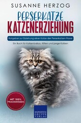 Perserkatze Katzenerziehung - Ratgeber zur Erziehung einer Katze der Perserkatzen Rasse