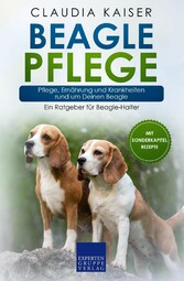 Beagle Pflege