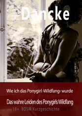 Wie ich das Ponygirl Wildfang wurde