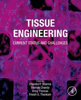 Tissue Engineering