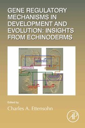 Gene Regulatory Mechanisms in Development and Evolution: Insights from Echinoderms