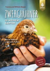 Zwerghühner in meinem Garten