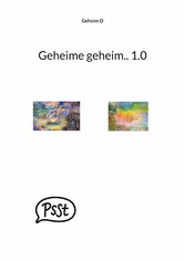 Geheime geheim.. 1.0