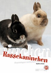 Rassekaninchen