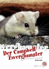 Der Campbell-Zwerghamster