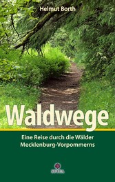 Waldwege