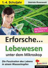 Erforsche Lebewesen unter dem Mikroskop