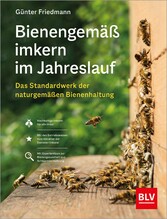 Bienengemäß imkern im Jahreslauf