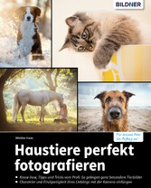 Haustiere perfekt fotografieren