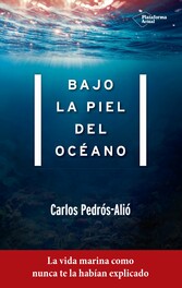 Bajo la piel del océano