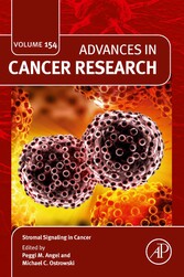 Stromal Signaling in Cancer