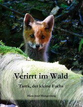 Verirrt im Wald