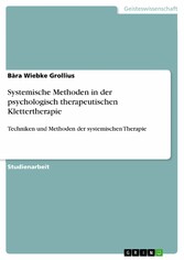 Systemische Methoden in der psychologisch therapeutischen Klettertherapie