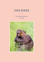 Der Biber