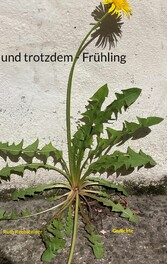 und trotzdem - Frühling