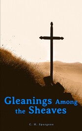 Gleanings Among the Sheaves