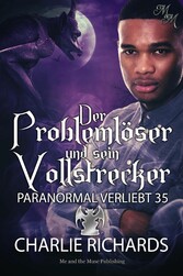 Der Problemlöser und sein Vollstrecker