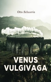 Venus vulgivaga