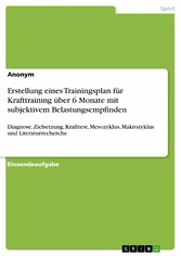 Erstellung eines Trainingsplan für Krafttraining über 6 Monate mit subjektivem Belastungsempfinden