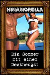 Ein Sommer mit einem Deckhengst