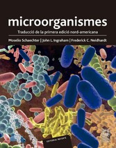 Microorganismes