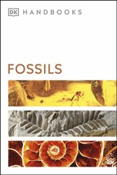 Fossils