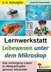 Lernwerkstatt Lebewesen unter dem Mikroskop / Klasse 3-4