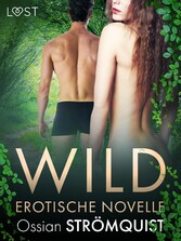 Wild - Erotische Novelle