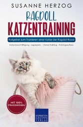 Ragdoll Katzentraining - Ratgeber zum Trainieren einer Katze der Ragdoll Rasse