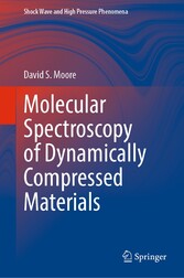 Molecular Spectroscopy of Dynamically Compressed Materials