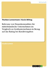 Relevanz von Finanzkennzahlen für mittelständische Unternehmen im Vergleich zu Großunternehmen in Bezug auf das Rating bei Kreditvergaben