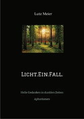 Licht.Ein.Fall.