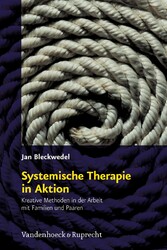 Systemische Therapie in Aktion