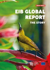 EIB Global Report: The Story