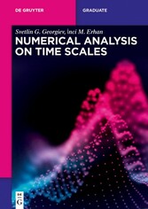 Numerical Analysis on Time Scales