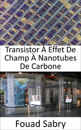 Transistor À Effet De Champ À Nanotubes De Carbone