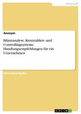 Bilanzanalyse, Kennzahlen- und Controllingsysteme. Handlungsempfehlungen für ein Unternehmen