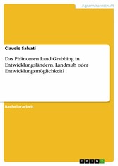 Das Phänomen Land Grabbing in Entwicklungsländern. Landraub oder Entwicklungsmöglichkeit?