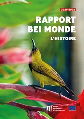 Rapport « BEI Monde - L'histoire »