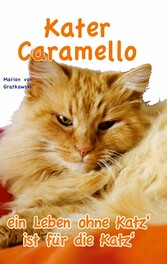 Kater Caramello - ein Leben ohne Katz&apos; ist für die Katz&apos;