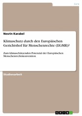 Klimaschutz durch den Europäischen Gerichtshof für Menschenrechte (EGMR)?