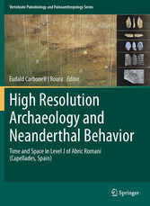 High Resolution Archaeology and Neanderthal Behavior