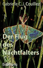 Der Flug des Nachtfalters