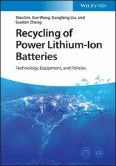 Recycling of Power Lithium-Ion Batteries