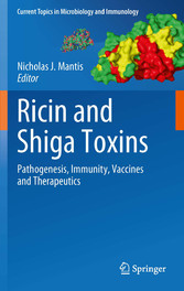 Ricin and Shiga Toxins